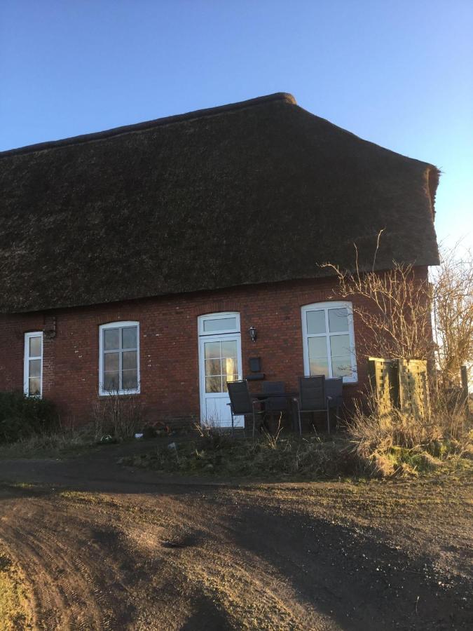 Ferienwohnung-Haus-Luetje-Wehr Hattstedtermarsch Exteriör bild